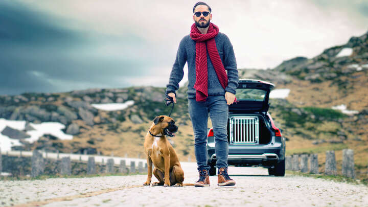 4pets Hunde-Transportbox Dog Box Pro